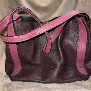 Hadley hobo colorblock Coach bag